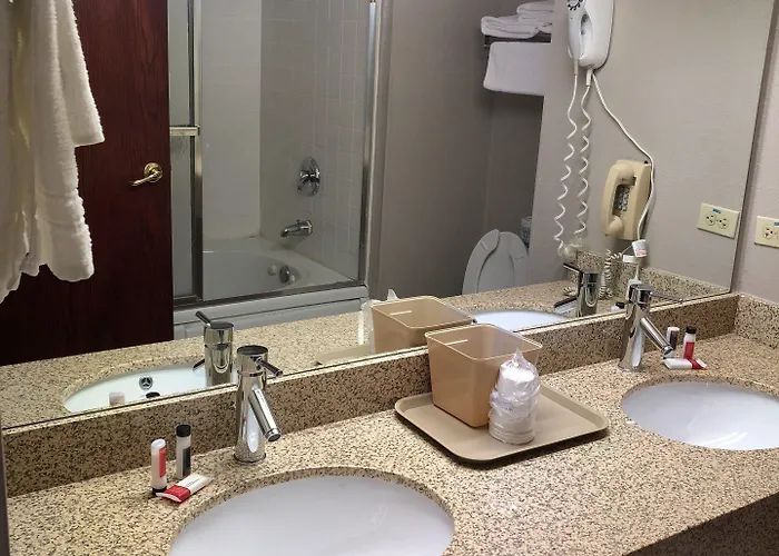 Super 8 By Wyndham Aurora/naperville Area Hotel
